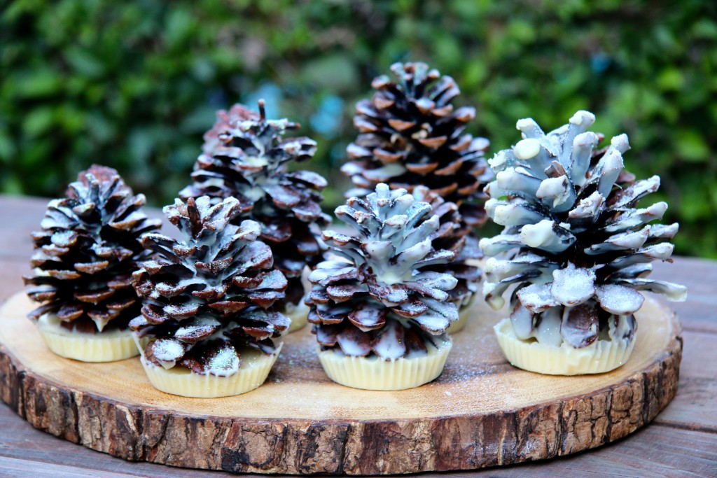 diy-all-natural-pine-cone-fire-starters-sophie-uliano