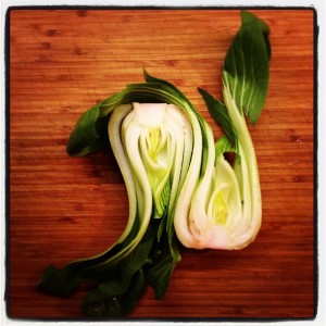 Bok Choy and Ginger Curry