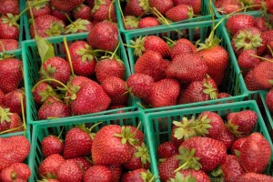 Yikes, my strawberries are NOT organic!