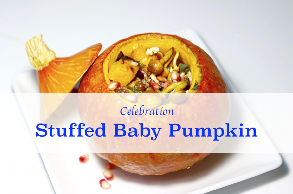  Celebration Stuffed Baby Pumpkin