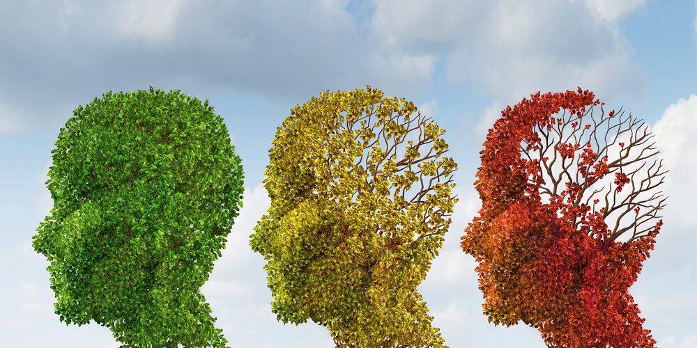 Brain aging and memory loss due to Dementia and Alzheimer's disease with the medical icon of a group of color changing autumn fall trees in the shape of a human head losing leaves as a loss of thoughts and intelligence function.