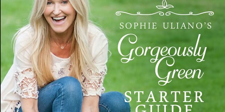 Sophie-Starter-Guide-2016-FINAL