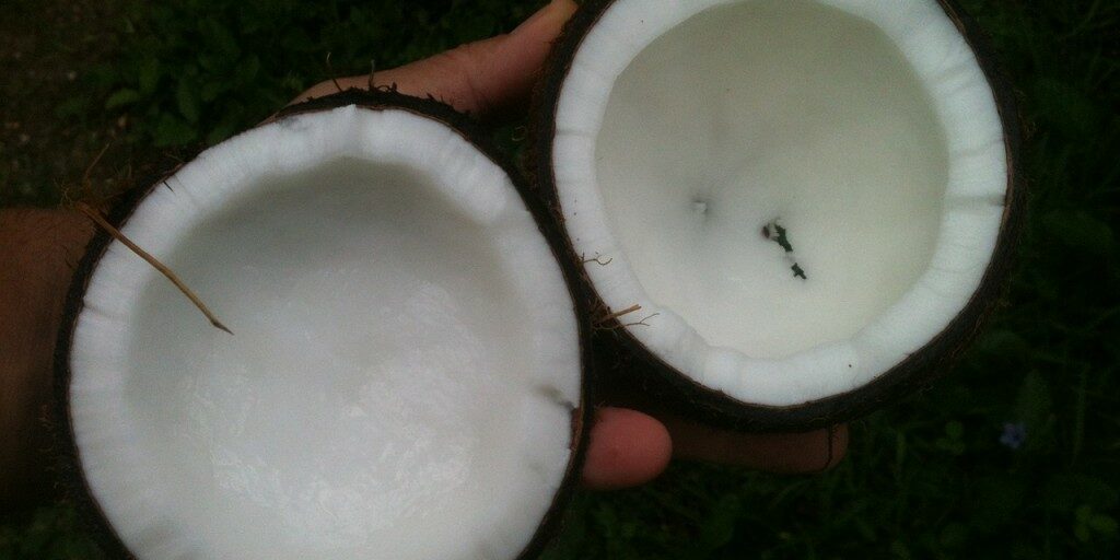 Benefits of Coconut Oil