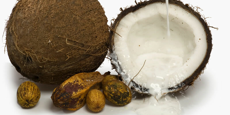 Is coconut oil really Good for you?