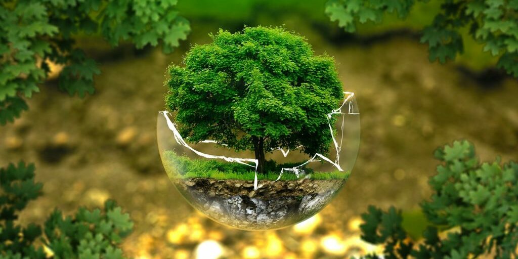 9 ways to save money and go green Earth Day 2019